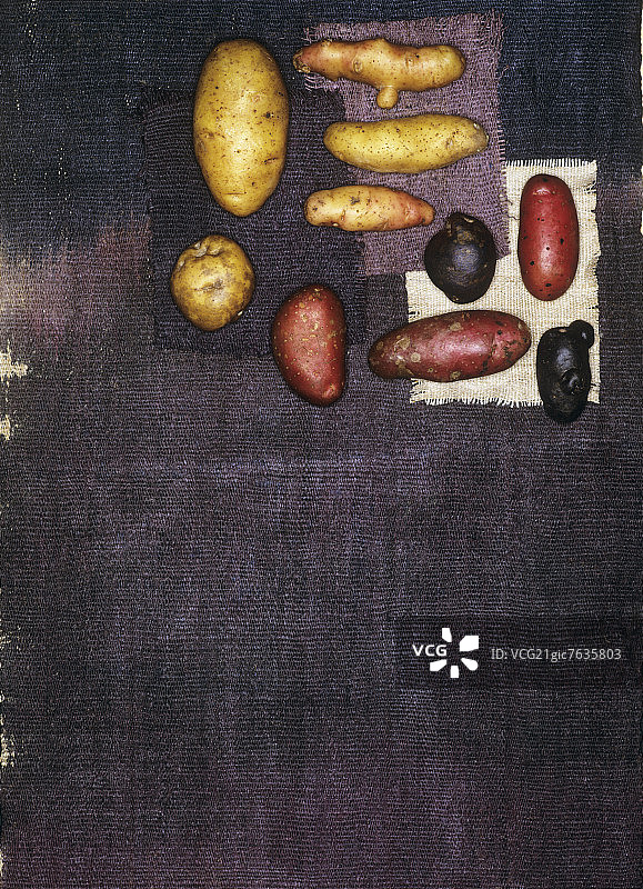 各种马铃薯品种图片素材