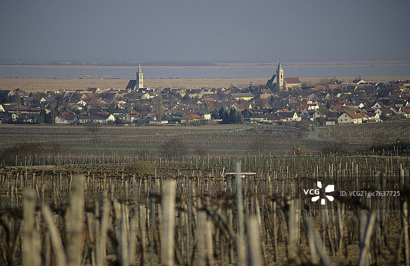 奥地利布尔根兰州，Neusiedl湖的葡萄酒小镇图片素材