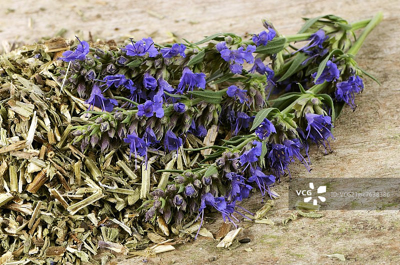 新鲜和干燥的牛膝草图片素材