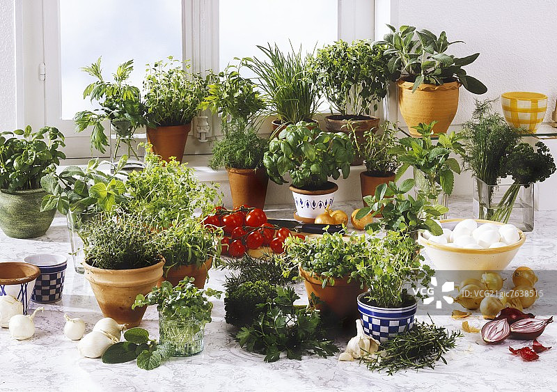 厨房窗前花盆里种植的各种香草图片素材
