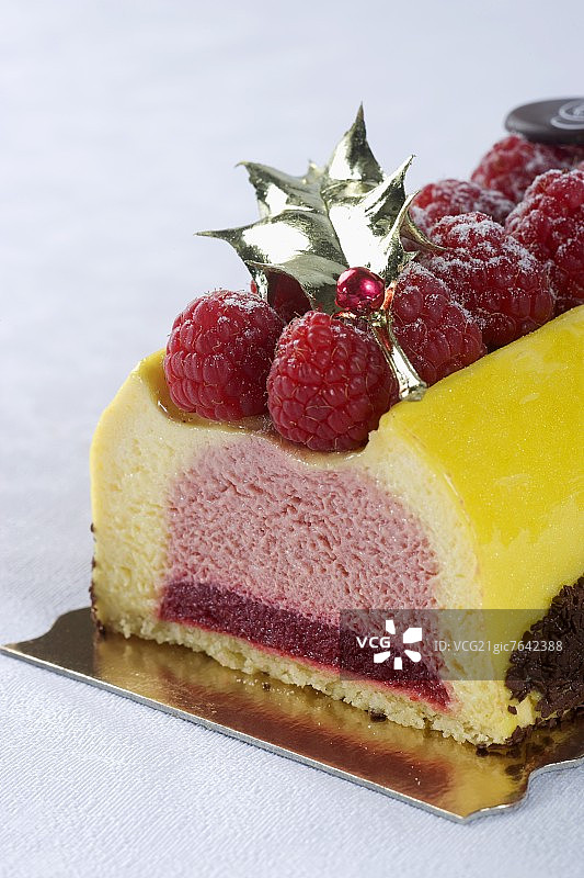 圣诞树桩蛋糕图片素材