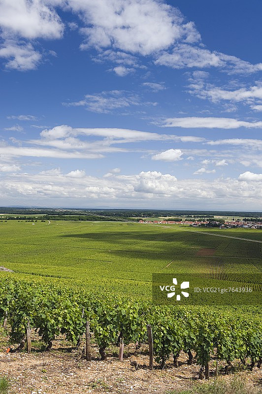勃艮第夜圣乔治一级葡萄园产区红色土地风光，法国图片素材