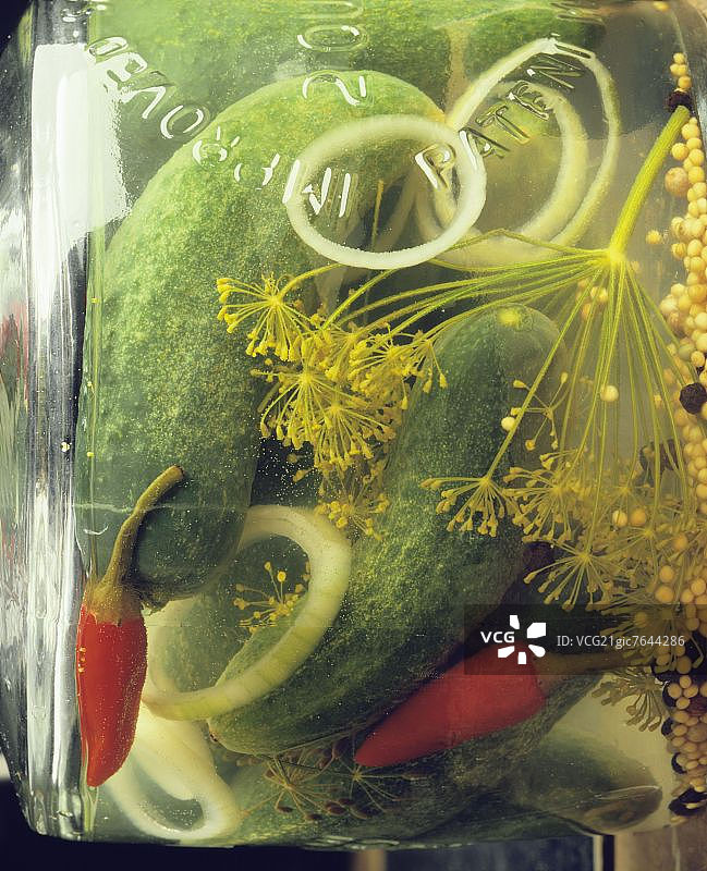 罐子里的腌黄瓜、洋葱、莳萝和辣椒图片素材