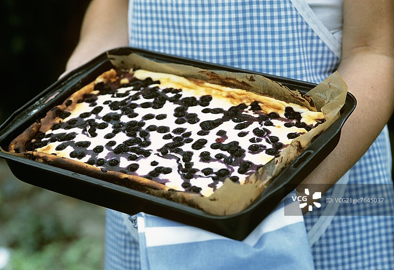 手持烤盘上的蓝莓蛋糕图片素材