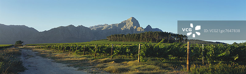 俯瞰南非格鲁特德拉肯斯坦的贝林厄姆酒庄图片素材