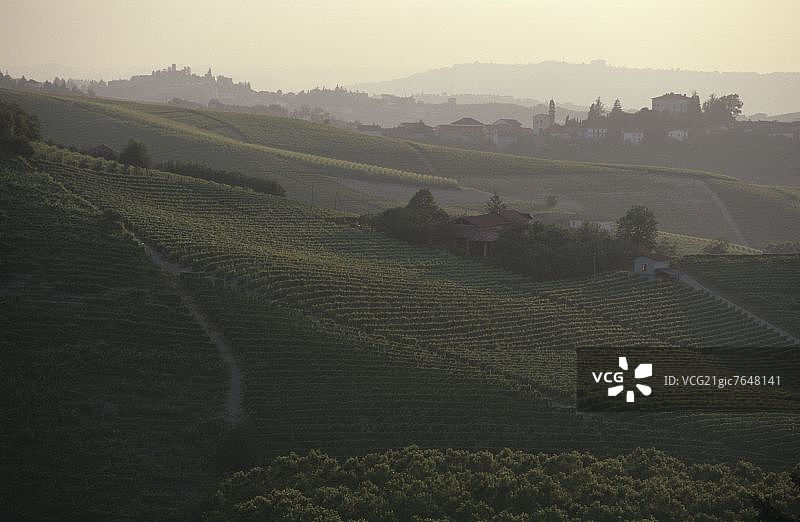 意大利皮埃蒙特阿斯蒂卡斯蒂格利奥内蒂内拉附近的葡萄园图片素材