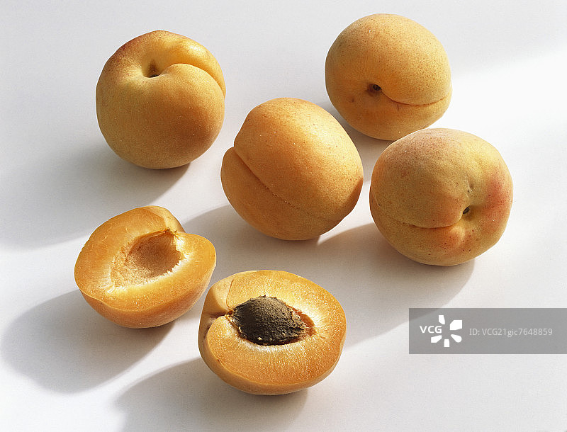 杏子（法国Modesto品种）图片素材
