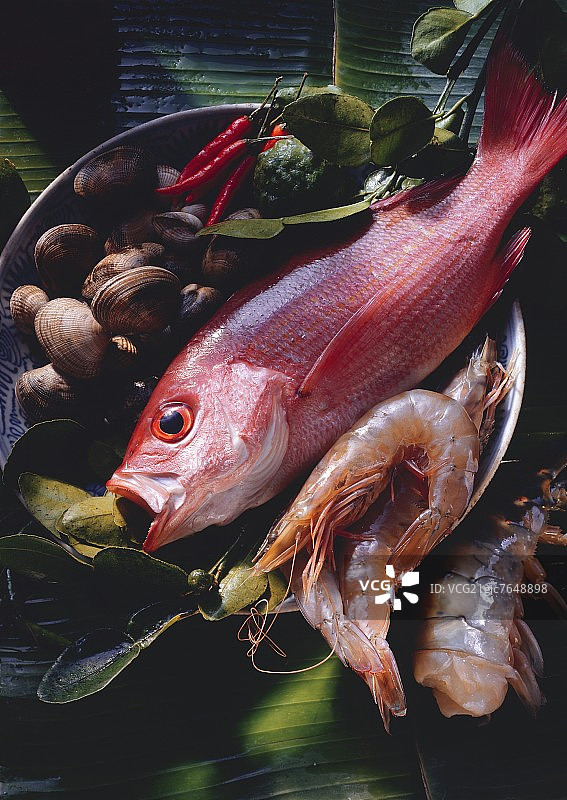 生红鲷鱼、虾和蛤蜊静物图片素材