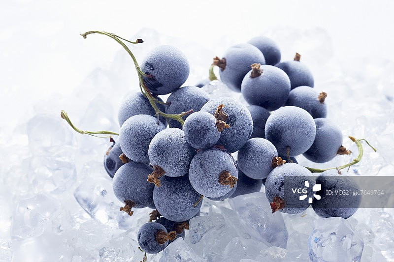 冷冻黑加仑碎冰图片素材