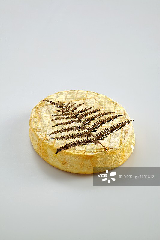 孚日山脉格雷干酪（羊齿叶软奶酪）图片素材