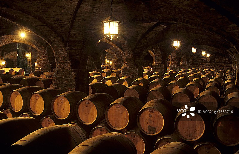 圣丽塔酒庄，智利麦坡谷布因图片素材