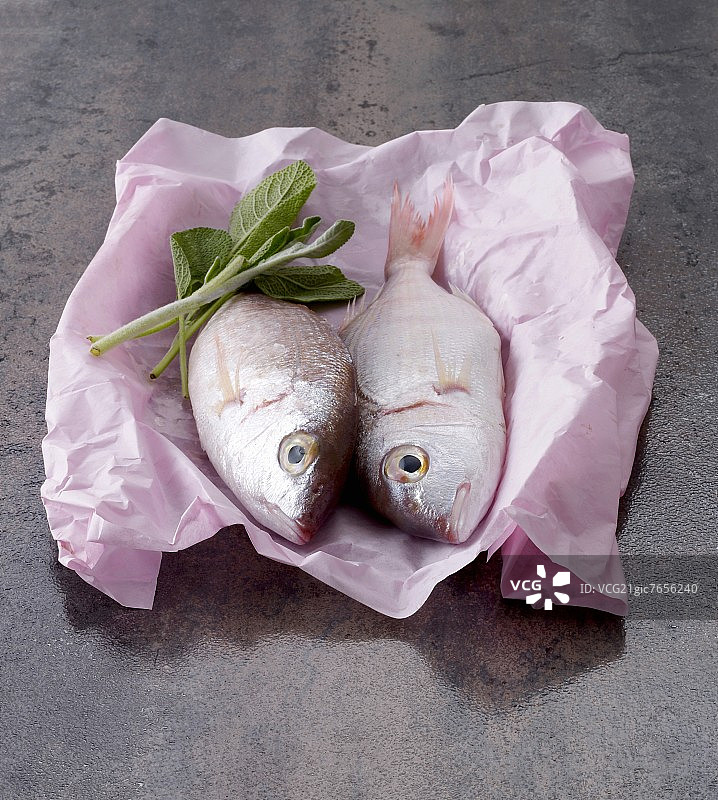 纸上的两条鳊鱼图片素材