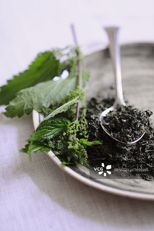 新鲜和干燥的荨麻图片素材