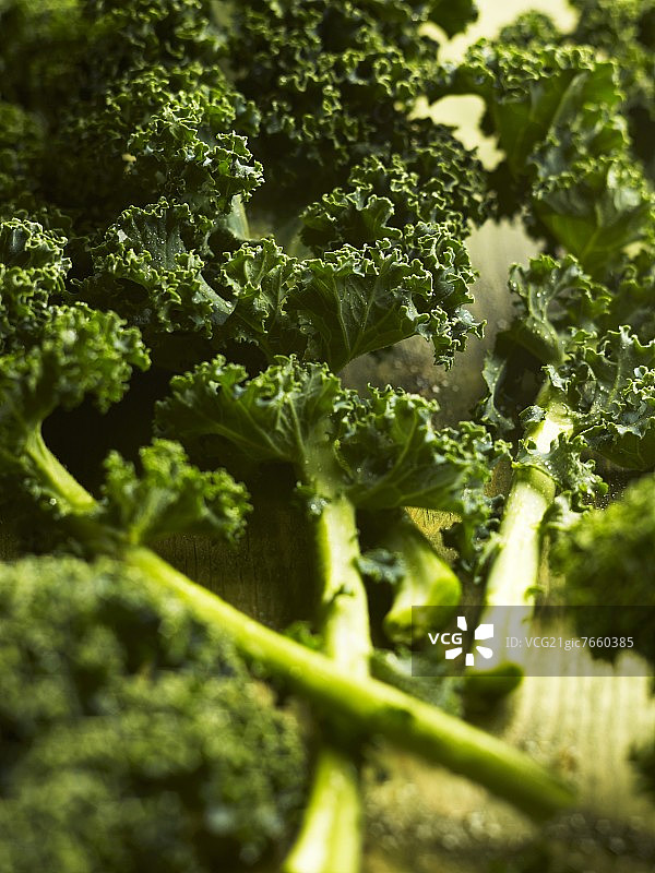 新鲜的羽衣甘蓝叶图片素材