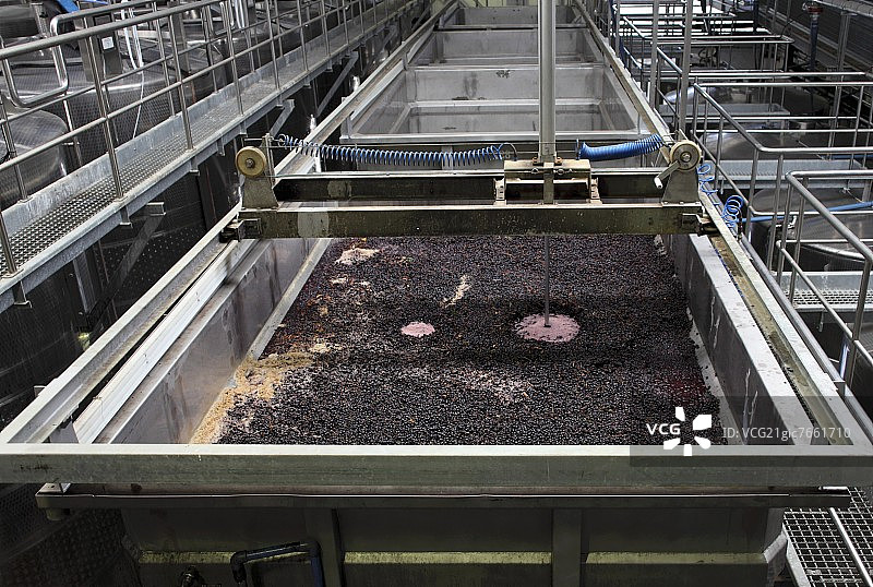 南非西开普省尼德堡酒庄的发酵罐图片素材