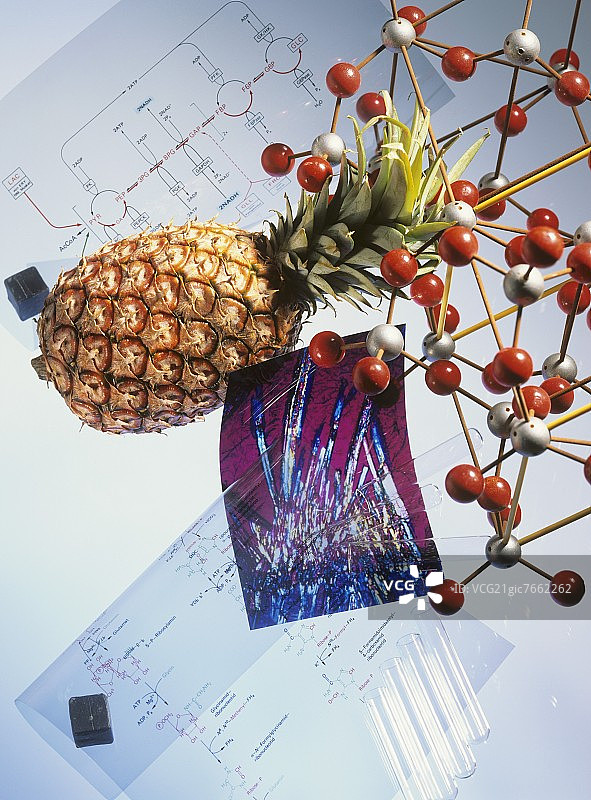 象征酶的图像：菠萝、分子、公式图片素材