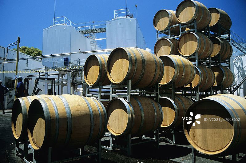 全新木桶（澳大利亚天鹅谷侯顿酒庄）图片素材