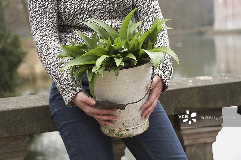 手提野蒜的女人图片素材