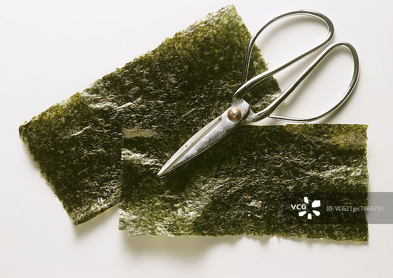 两片裙带菜海藻图片素材