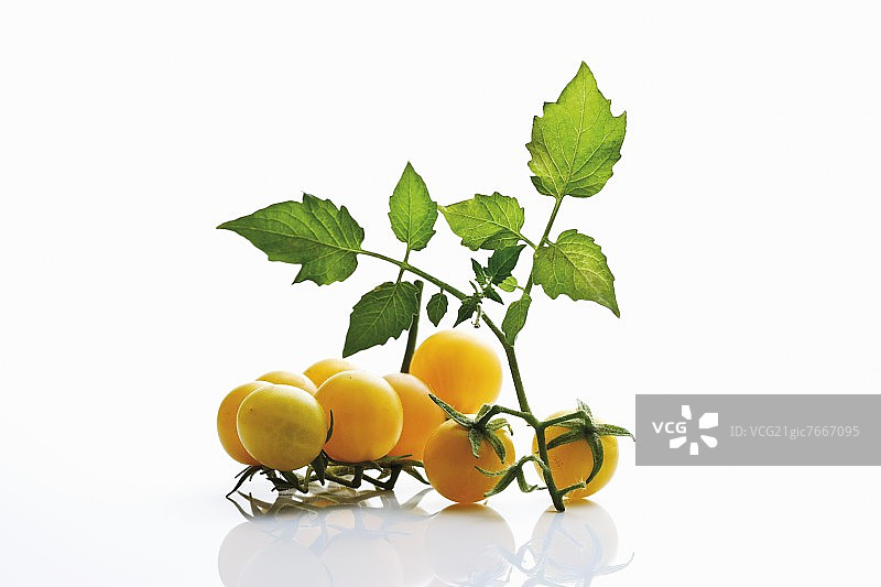 带叶子的黄色番茄图片素材