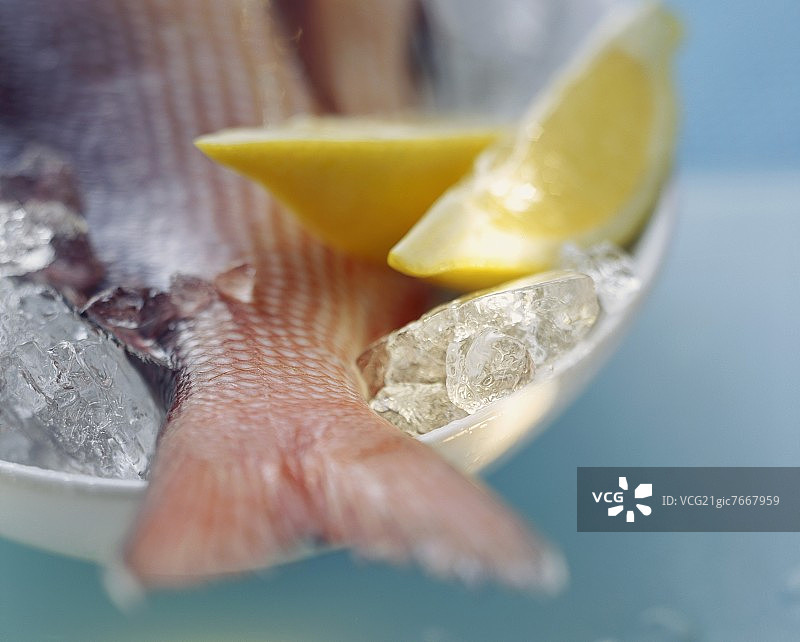 冰上放着柠檬角的红鲷鱼图片素材