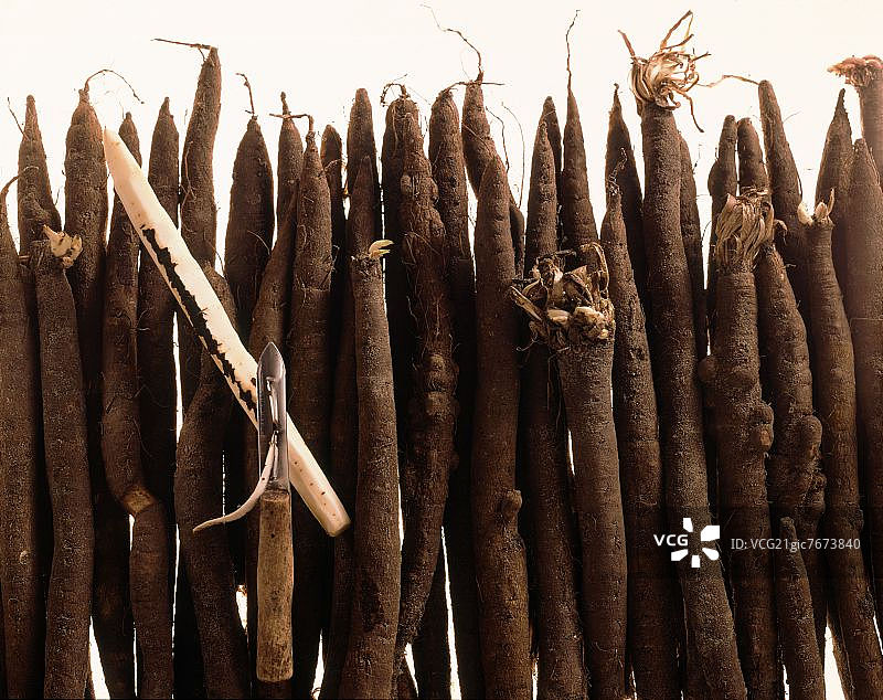 带削皮器的婆罗门参图片素材