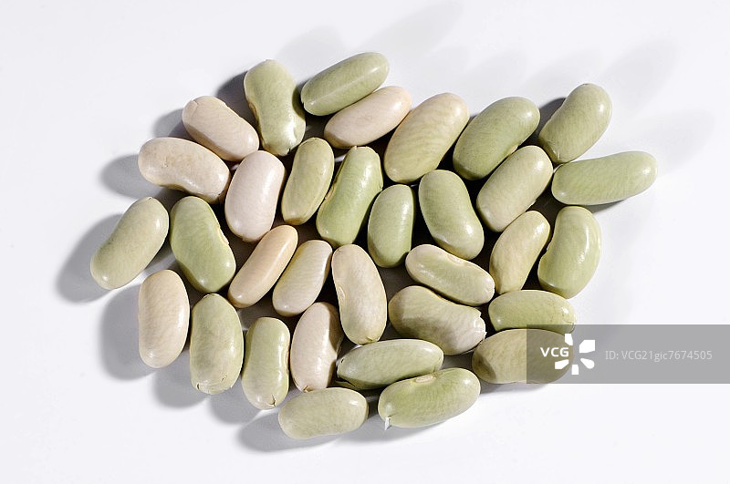 法国小芸豆图片素材