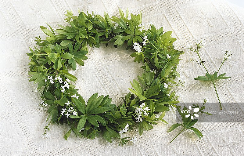 香车叶草花环图片素材