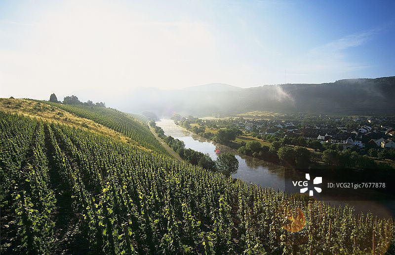 德国绍登萨尔河畔的葡萄园图片素材