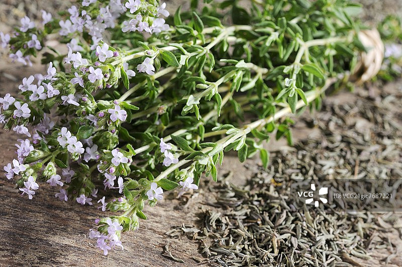 百里香，新鲜和干燥图片素材