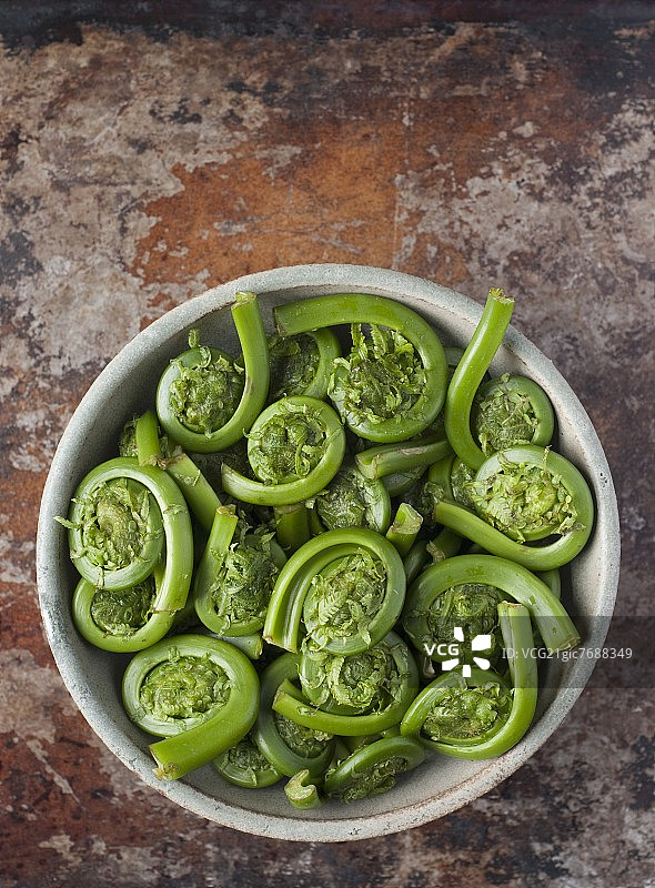 碗里的缅因州蕨菜；俯视图图片素材
