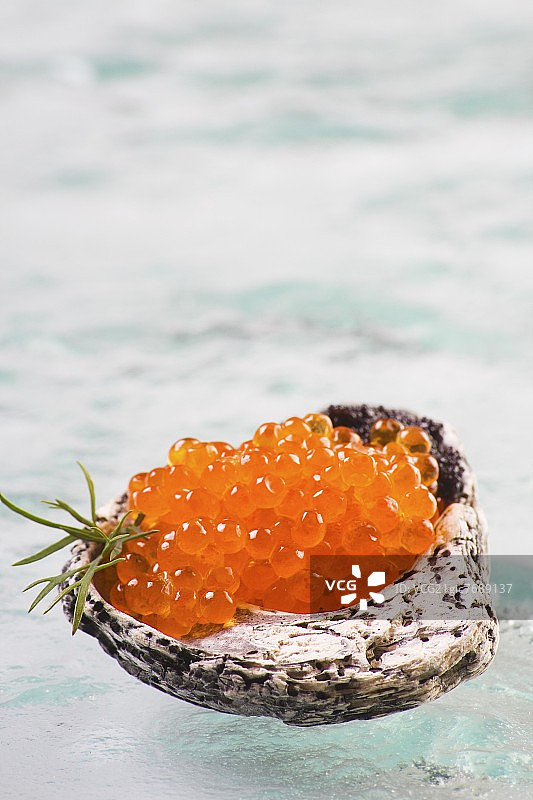 贝壳中的三文鱼鱼子酱图片素材