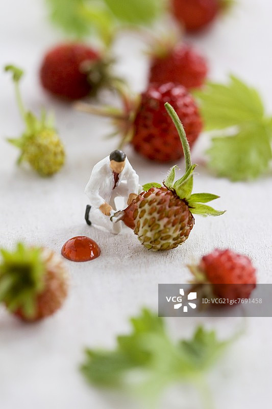 野草莓丛中的小玩具人和果酱图片素材