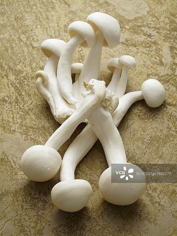 白色真姬菇图片素材