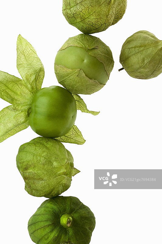 白色背景上的墨西哥小番茄图片素材