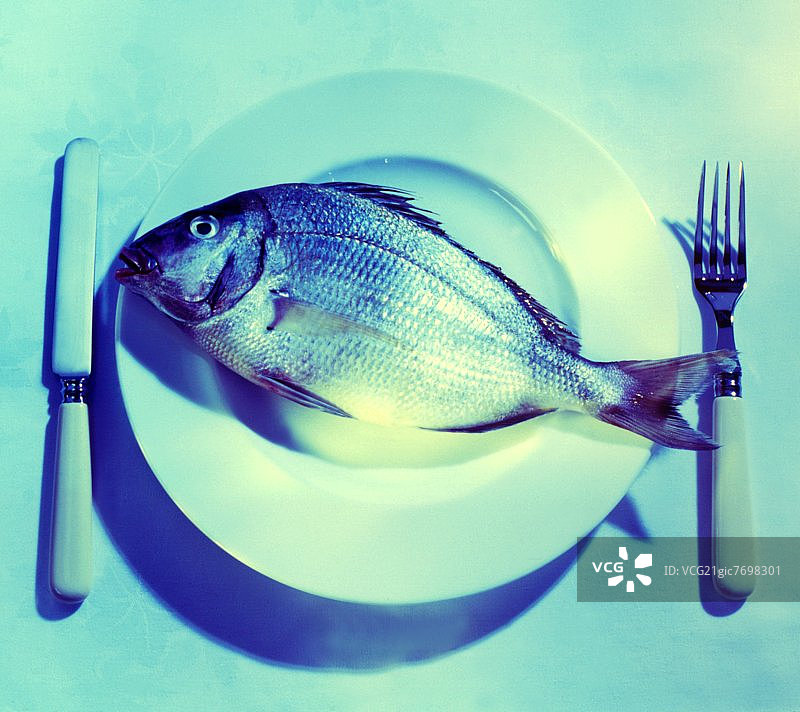 盘子上的完整鲷鱼图片素材