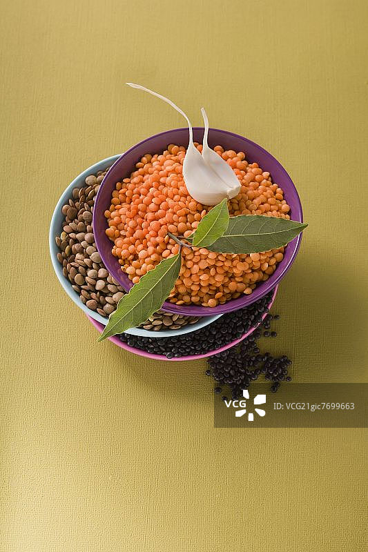 Beluga扁豆、棕色扁豆和红色扁豆图片素材