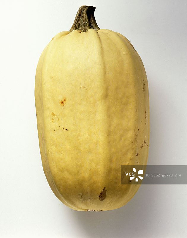 白底上的意大利面南瓜图片素材