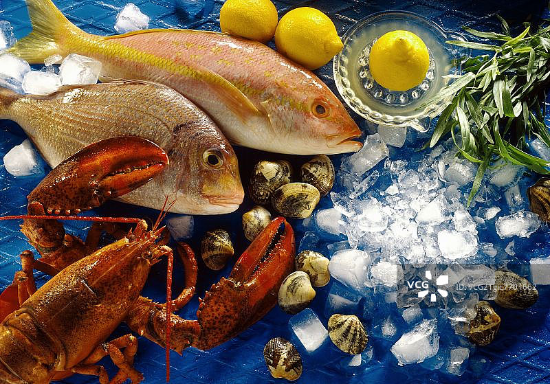 海鲜静物：鱼、龙虾和贝类图片素材