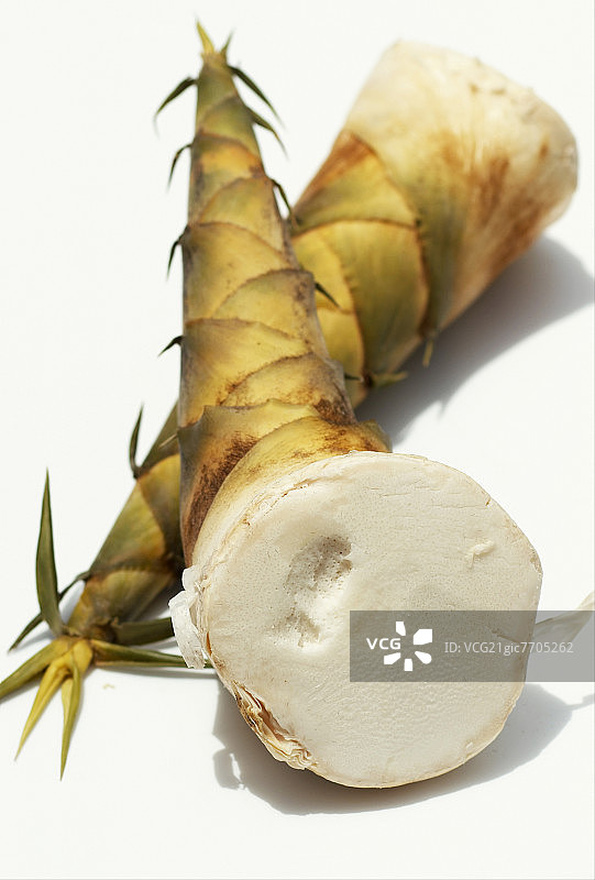 未剥皮的竹笋图片素材