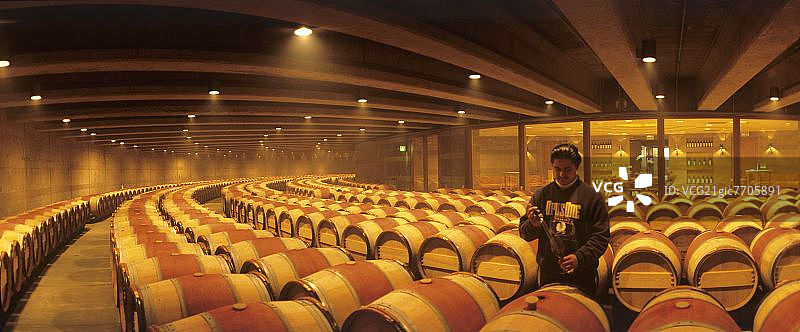 美国纳帕谷奥克维尔作品一号酒庄的酒窖图片素材