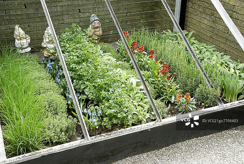 冷床中的草药和花卉图片素材