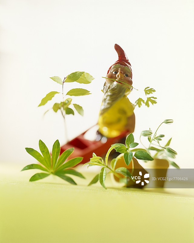 花园侏儒在花园中工作图片素材