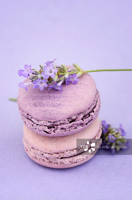 薰衣草马卡龙图片素材