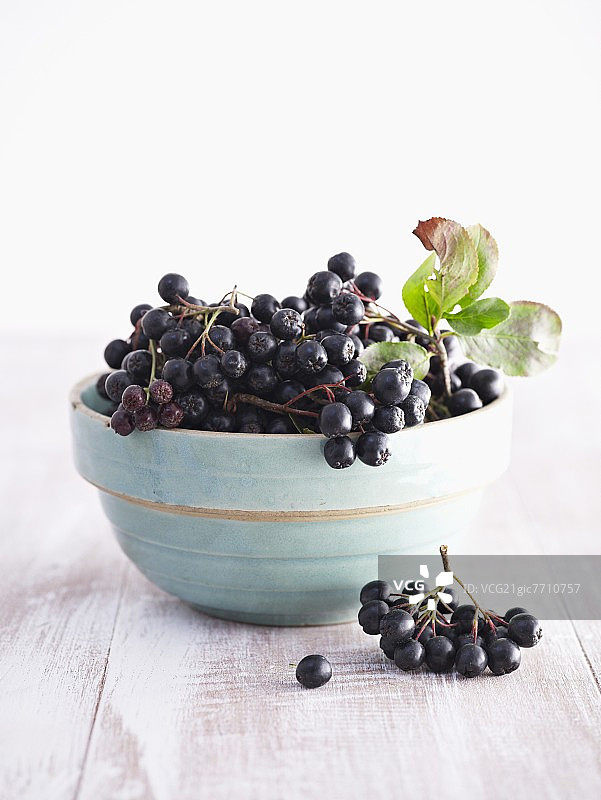 陶瓷碗中的野樱莓（黑果腺肋花楸果）图片素材