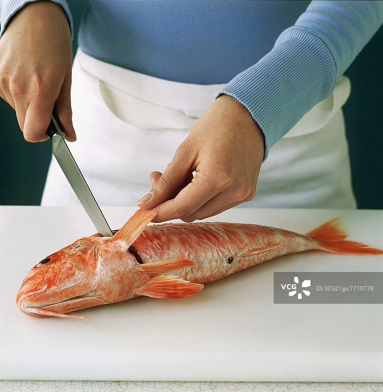 男人切红鲷鱼的鱼鳍图片素材