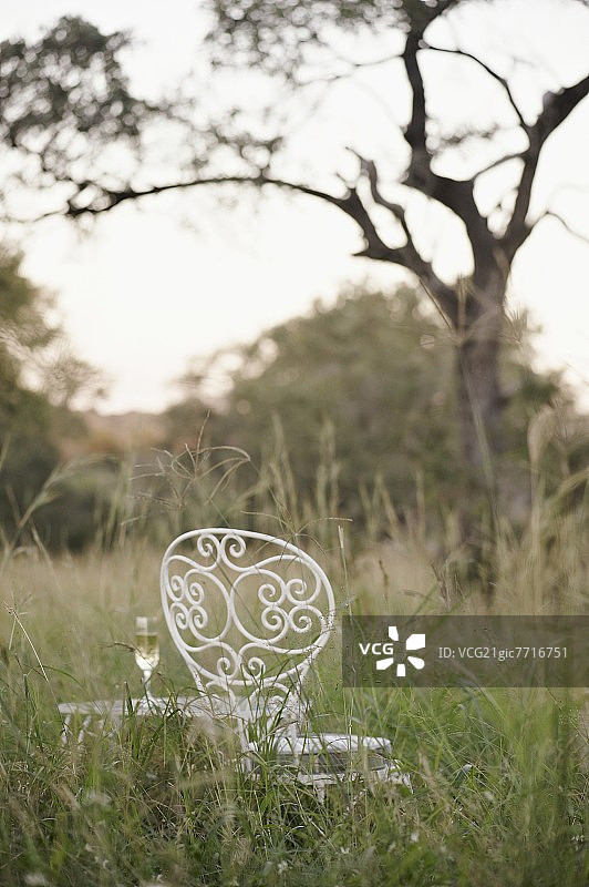 艺术花园椅和香槟桌图片素材