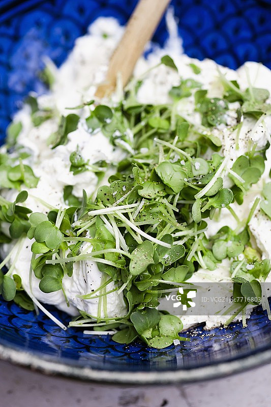 含萝卜水芹的夸克图片素材