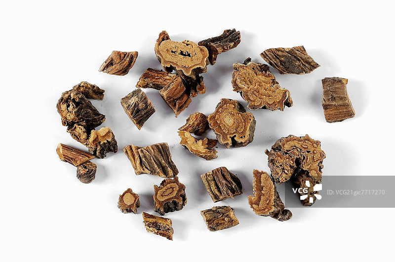 干燥的龙胆根图片素材