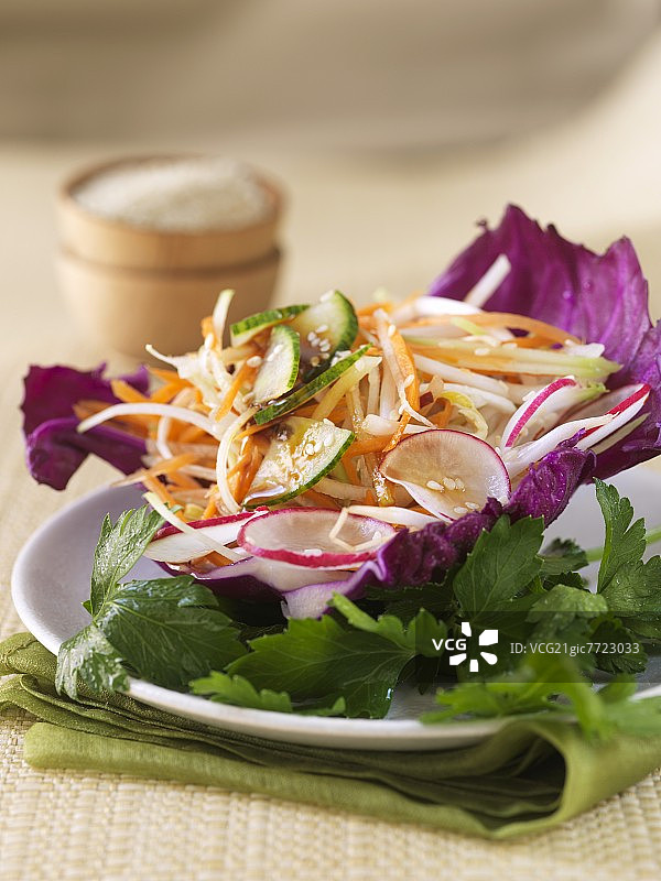 红卷心菜叶子里的胡萝卜、萝卜和黄瓜沙拉图片素材